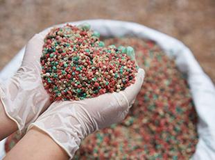 
Agro Focus International (Imported Agricultural Seeds, High-Yield Crop Seeds, Hybrid & Certified Seeds, Vegetable & Fruit Seeds for Sri Lanka, Seed Import & Distribution, Agricultural Machinery Imports, Modern Farming Equipment, Farm Mechanization Solutions, Trusted Agri-Technology Partner)
