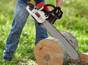 
Agro Focus International (Imported Agricultural Seeds, High-Yield Crop Seeds, Hybrid & Certified Seeds, Vegetable & Fruit Seeds for Sri Lanka, Seed Import & Distribution, Agricultural Machinery Imports, Modern Farming Equipment, Farm Mechanization Solutions, Trusted Agri-Technology Partner)
