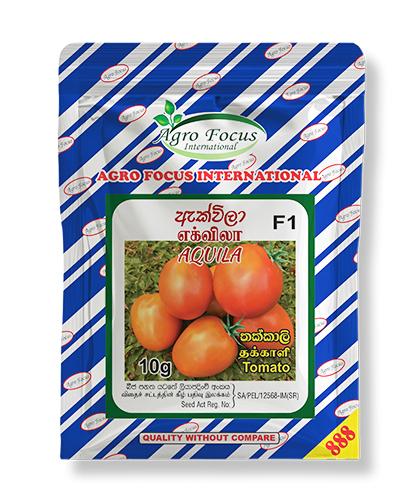 Aquila Tomato