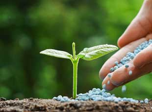 
Agro Focus International (Imported Agricultural Seeds, High-Yield Crop Seeds, Hybrid & Certified Seeds, Vegetable & Fruit Seeds for Sri Lanka, Seed Import & Distribution, Agricultural Machinery Imports, Modern Farming Equipment, Farm Mechanization Solutions, Trusted Agri-Technology Partner)
