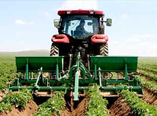 
Agro Focus International (Imported Agricultural Seeds, High-Yield Crop Seeds, Hybrid & Certified Seeds, Vegetable & Fruit Seeds for Sri Lanka, Seed Import & Distribution, Agricultural Machinery Imports, Modern Farming Equipment, Farm Mechanization Solutions, Trusted Agri-Technology Partner)
