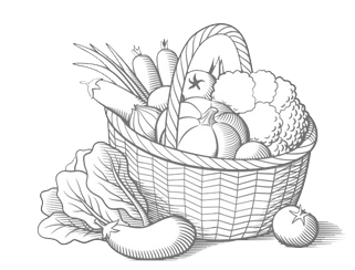 
Agro Focus International (Imported Agricultural Seeds, High-Yield Crop Seeds, Hybrid & Certified Seeds, Vegetable & Fruit Seeds for Sri Lanka, Seed Import & Distribution, Agricultural Machinery Imports, Modern Farming Equipment, Farm Mechanization Solutions, Trusted Agri-Technology Partner)
