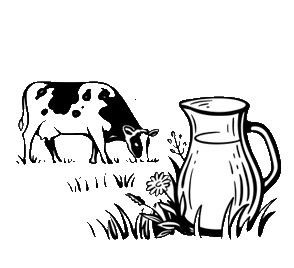 
Agro Focus International (Imported Agricultural Seeds, High-Yield Crop Seeds, Hybrid & Certified Seeds, Vegetable & Fruit Seeds for Sri Lanka, Seed Import & Distribution, Agricultural Machinery Imports, Modern Farming Equipment, Farm Mechanization Solutions, Trusted Agri-Technology Partner)
