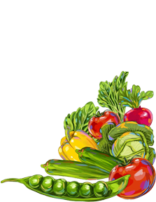 
Agro Focus International (Imported Agricultural Seeds, High-Yield Crop Seeds, Hybrid & Certified Seeds, Vegetable & Fruit Seeds for Sri Lanka, Seed Import & Distribution, Agricultural Machinery Imports, Modern Farming Equipment, Farm Mechanization Solutions, Trusted Agri-Technology Partner)
